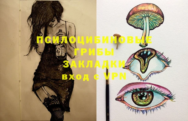 2c-b Верхний Тагил